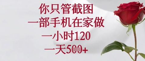 你只管截图，一部手机在家做，苹果安卓都可以，一小时120，一天5张+【揭秘】-策里行间