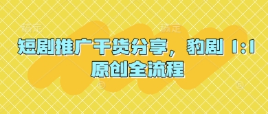 短剧推广干货分享，豹剧 1:1原创全流程-策里行间
