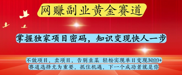 网创副业黄全赛道，掌握独家项目密码，知识变现快人一步，告别韭菜轻松实现单日变现1k+【揭秘】-策里行间