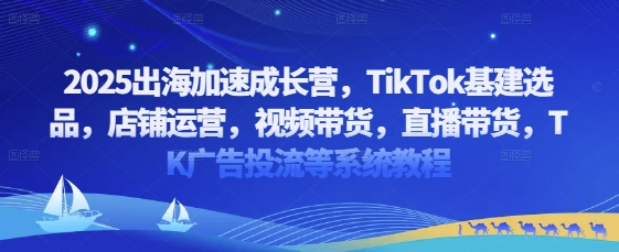 2025出海加速成长营，TikTok基建选品，店铺运营，视频带货，直播带货，TK广告投流等系统教程-策里行间