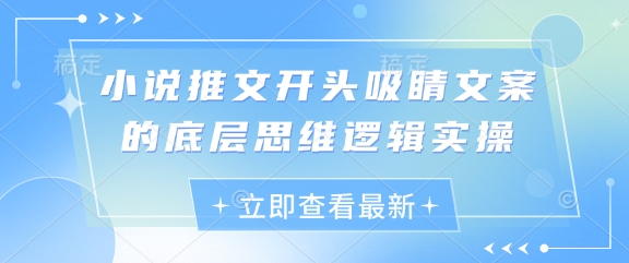 小说推文开头吸睛文案的底层思维逻辑实操-策里行间