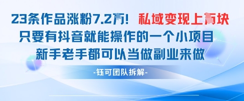 抖音私域项目23条作品涨粉7.2W，私域变现1W-策里行间
