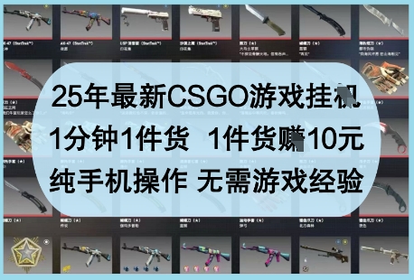 25年最新CSGO游戏挂G，1分钟1件货，1件货挣10元，纯手机操作，无需游戏经验【揭秘】-策里行间