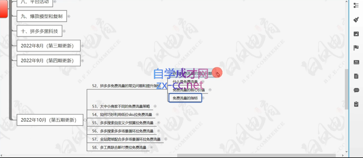 白凤电商·拼多多日销千单训练营(更新4月)-策里行间