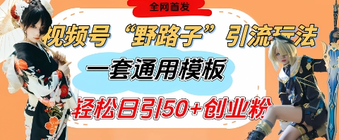 视频号“野路子”玩法，评论区疯狂截流，一套模板单日单号引流50+创业粉-策里行间