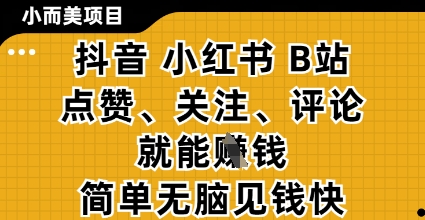 小而美的项目，抖音小红书B站视频点赞、关注、评论就能挣钱，简单无脑立见收益，妥妥的零撸项目【揭秘】-策里行间