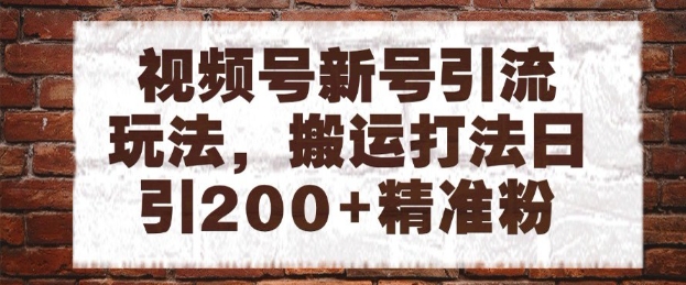 视频号新号引流玩法，搬运打法日引200+精准粉，可矩阵放大【揭秘】-策里行间