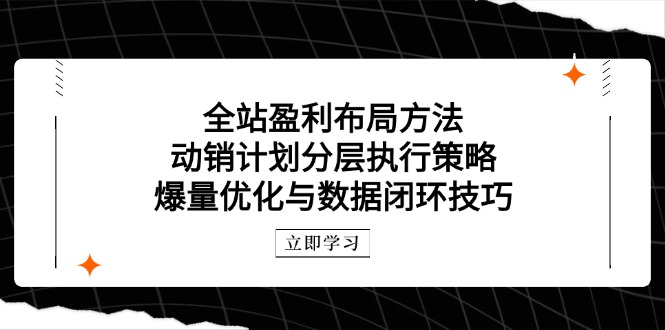 全站盈利布局方法：动销计划分层执行策略，爆量优化与数据闭环技巧-策里行间