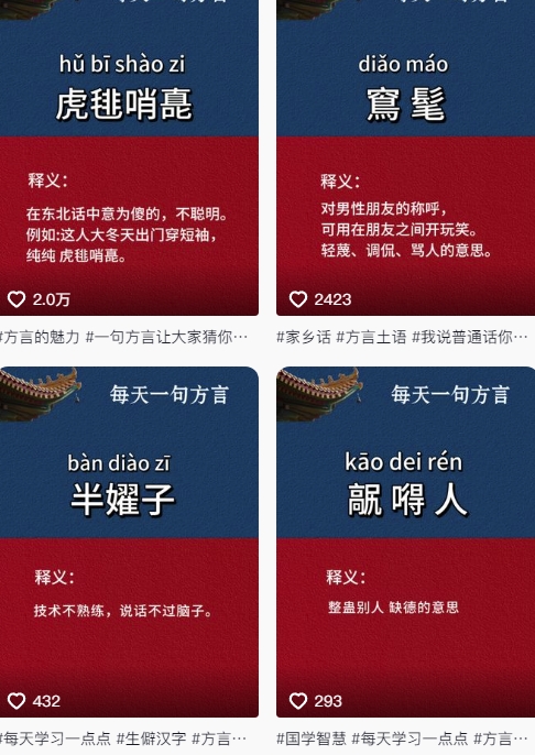 抖音最新涨粉玩法，图文方言暴力涨粉实操，126作品涨粉11W-策里行间