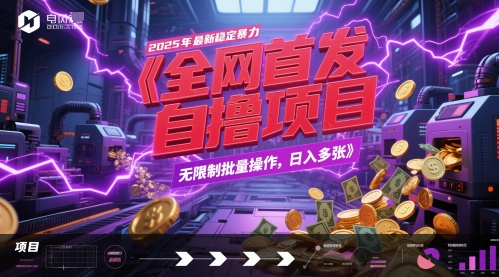 全网首发，2025年最新稳定暴力全自动自撸项目，无限制批量操作，日入多张【揭秘】-策里行间
