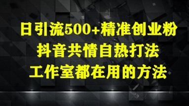 日引流500+精准创业粉，抖音共情自热打法，工作室都在用的方法-策里行间
