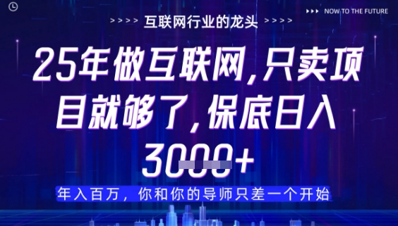 什么！25年你还在找项目做？风口早就变了，卖项目才是稳挣不赔【揭秘】-策里行间