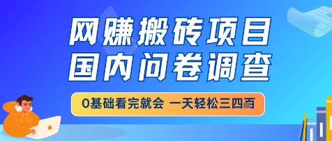 网创搬砖项目，国内问卷调查，小白轻松上手，一天三四张的也不难，干就完了【揭秘】-策里行间