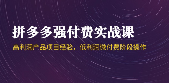拼多多强付费实战课-44期，高利润产品项目经验，低利润微付费阶段操作-策里行间