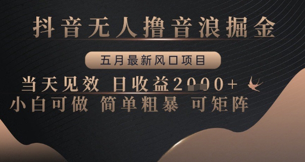 抖音无人撸音浪掘金，五月最新风口项目，当天见效，日收益多张，小白可做简单粗暴可矩阵【揭秘】-策里行间