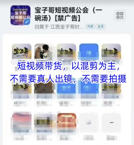 宝子哥头部团队短视频带货，以混剪为主，不需要真人出镜，不需要拍摄-策里行间