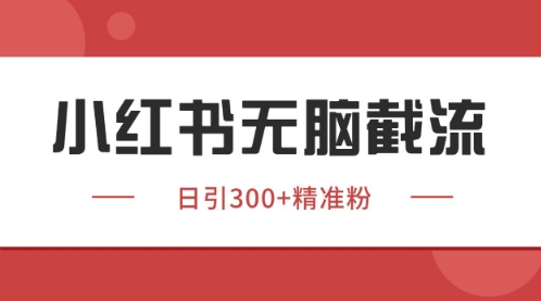 小红书只要你有同行就能获客，独家野路子获客玩法，暴力截流【揭秘】-策里行间