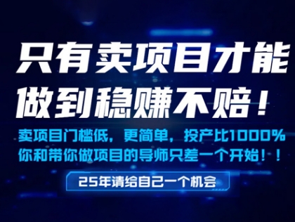 只有卖项目才能做到稳挣不赔，门槛低，更简单，你也可以年入百个W【揭秘】-策里行间