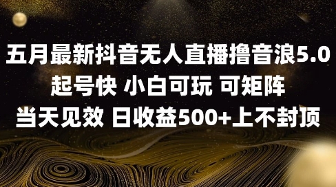 2025五月最新无人直播撸音浪单日产出5张+实操教程【揭秘】-策里行间