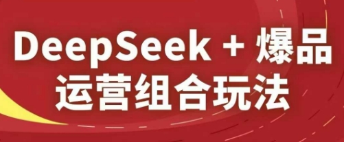 DeepSeek+爆品运营组合玩法，2025淘系精品课-策里行间