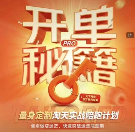 淘宝开单秘籍PRO，量身定制淘天实战陪跑计划，告别做店迷茫、快速突破运营瓶颈期(更新)-策里行间