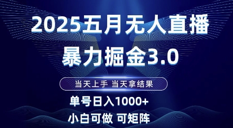 2025五月无人直播暴力掘金3.0，当天上手，当天拿结果，单号日入1k+小白可做可矩阵【揭秘】-策里行间