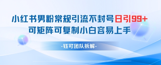 小红书男粉常规引流不封号日引99+变现简单 可矩阵可复制小白容易上手-策里行间