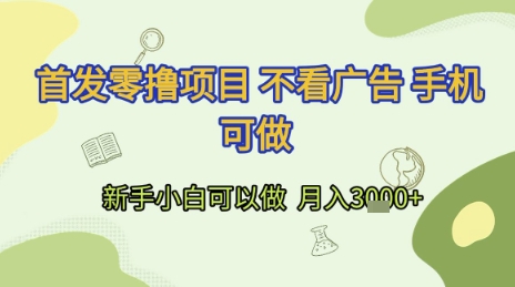 首发零撸项目 不看广告 手机可做 新手小白可以做  月入3k+【揭秘】-策里行间