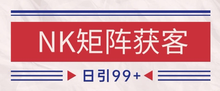 小红书某音NK赛道引流获客 自热矩阵日引200+【揭秘】-策里行间