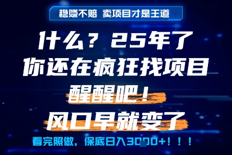 什么？25年你还在疯狂找项目做，醒醒吧，看完这些你全都懂了！【揭秘】-策里行间