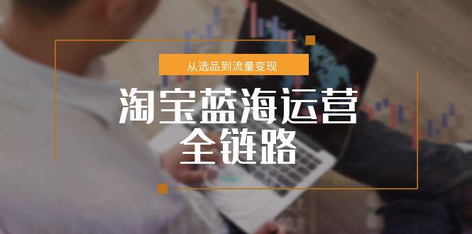 淘宝蓝海运营全链路，从选品到流量变现，小类目突围完整方案-策里行间