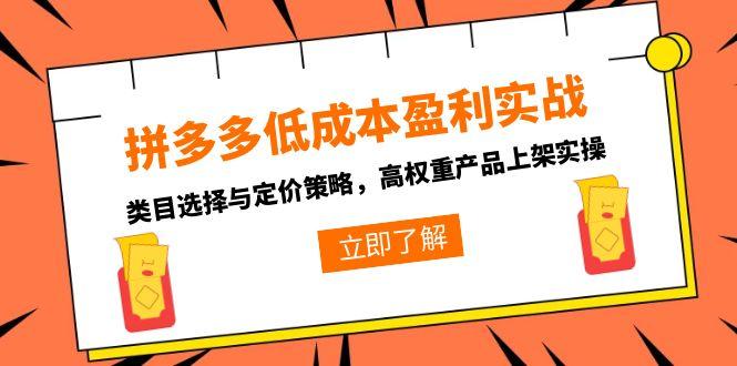 拼多多低成本盈利实战，类目选择与定价策略，高权重产品上架实操-策里行间