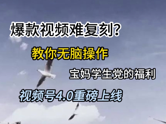视频号4.0重磅上线，爆款视频难复刻？教你无脑操作宝妈学生党的福利【揭秘】-策里行间