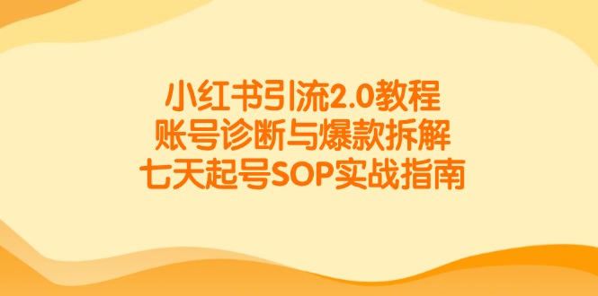 小红书引流2.0教程，账号诊断与爆款拆解，七天起号SOP实战指南-策里行间