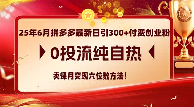 25年6月拼多多最新日引300+付费创业粉，0投流纯自热 卖课月变现六位数方法-策里行间