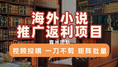 海外小说推广返利项目，视频投喂， 一刀不剪，矩阵批量-策里行间