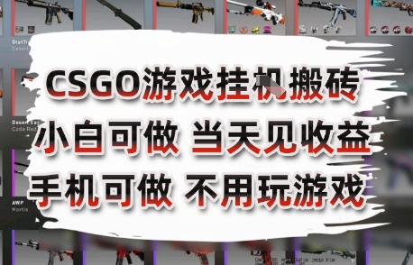 CSGO游戏挂G搬砖，小白纯手机即可操作，不用电脑打游戏，日入3张+，副业网创项目【揭秘】-策里行间