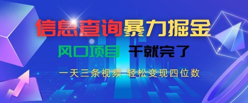 信息查询暴力掘金，一天三条视频，轻松变现四位数，风口项目干就完了【揭秘】-策里行间