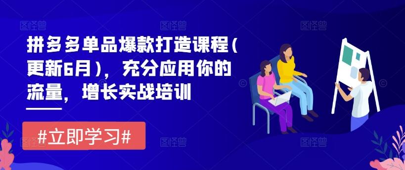 拼多多单品爆款打造课程(更新6月)，充分应用你的流量，增长实战培训-策里行间