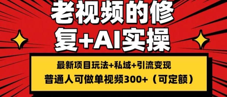 修复老视频的玩法，搬砖+引流的变现(可持久)，单条收益300+【揭秘】-策里行间