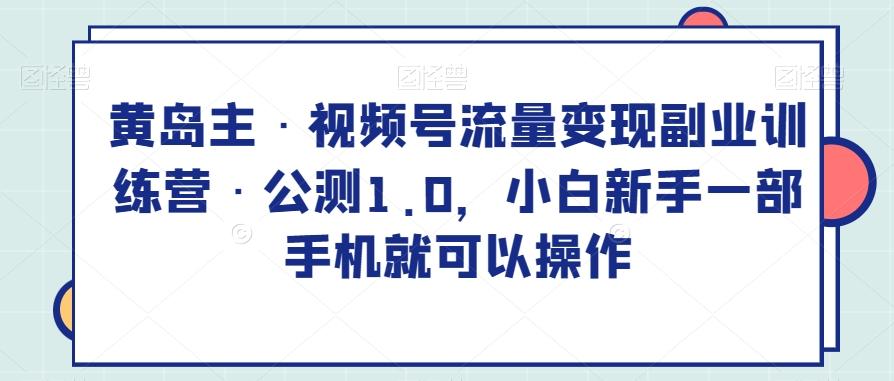 黄岛主·视频号流量变现副业训练营·公测1.0，小白新手一部手机就可以操作-策里行间