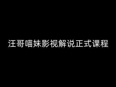 汪哥影视解说正式课程：剪映/PR教学/视解说剪辑5大黄金法则/全流程剪辑7把利器等等-策里行间