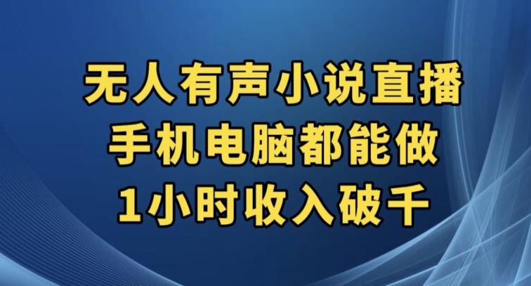 抖音无人有声小说直播，手机电脑都能做，1小时收入破千【揭秘】-策里行间