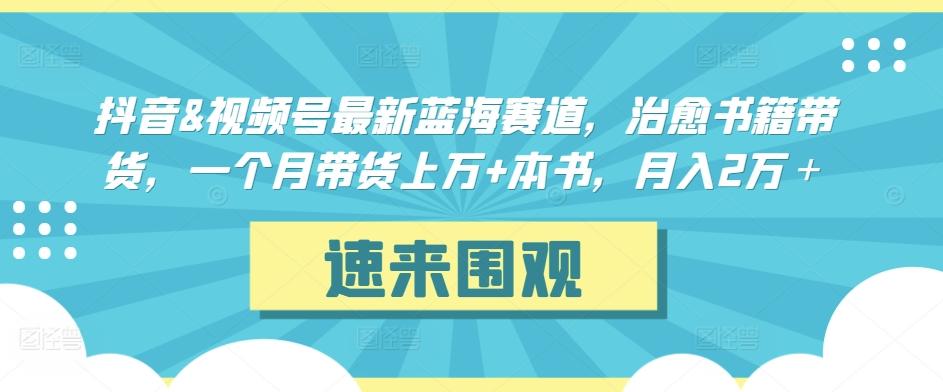 抖音&视频号最新蓝海赛道，治愈书籍带货，一个月带货上万+本书，月入2万＋【揭秘】-策里行间