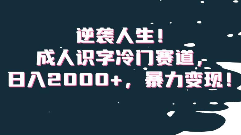 逆袭人生！成人识字冷门赛道，日入2000+，暴力变现！【揭秘】-策里行间