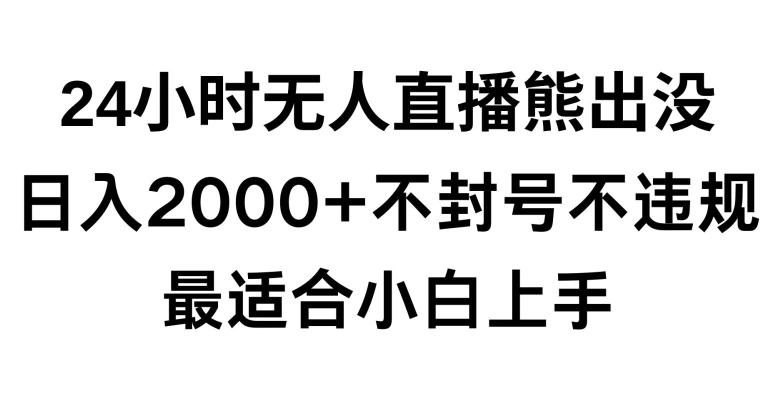 快手24小时无人直播熊出没，不封直播间，不违规，日入2000+，最适合小白上手，保姆式教学【揭秘】-策里行间