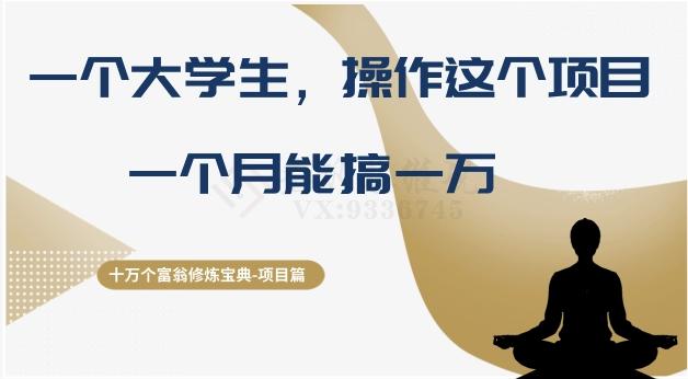 十万个富翁修炼宝典之4.一个大学生操作这个项目，一个月能搞一万-策里行间