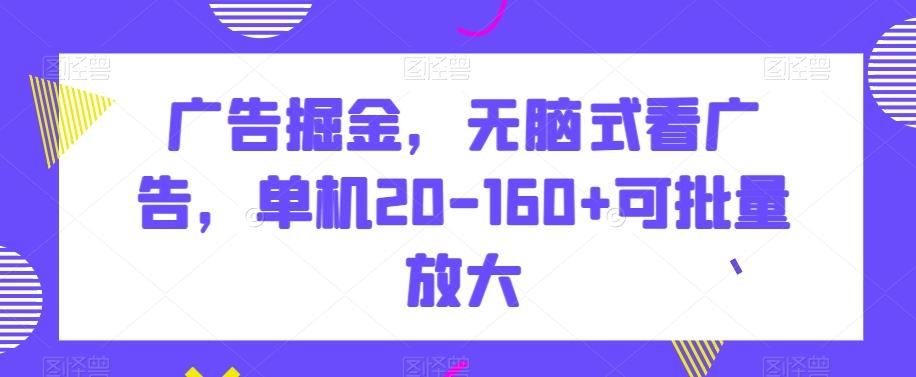 广告掘金，无脑式看广告，单机20-160+可批量放大【揭秘】-策里行间