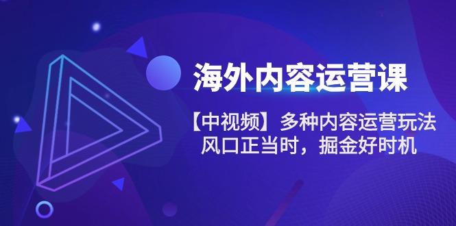 海外内容 运营课【中视频】多种内容运营玩法 风口正当时 掘金好时机-101节-策里行间
