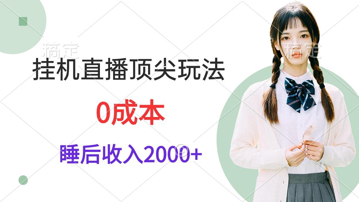 (9715期)挂机直播顶尖玩法，睡后日收入2000+、0成本，视频教学-策里行间